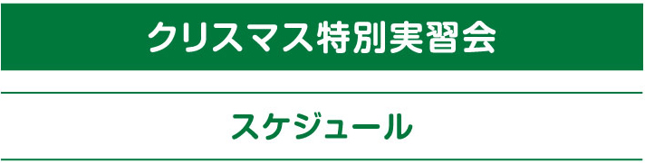 クリスマス特別実習会